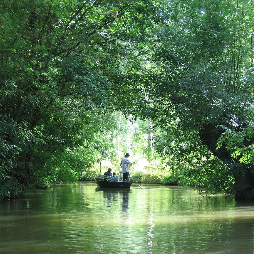 paysage du marais poitevin avec une barque sur un canal