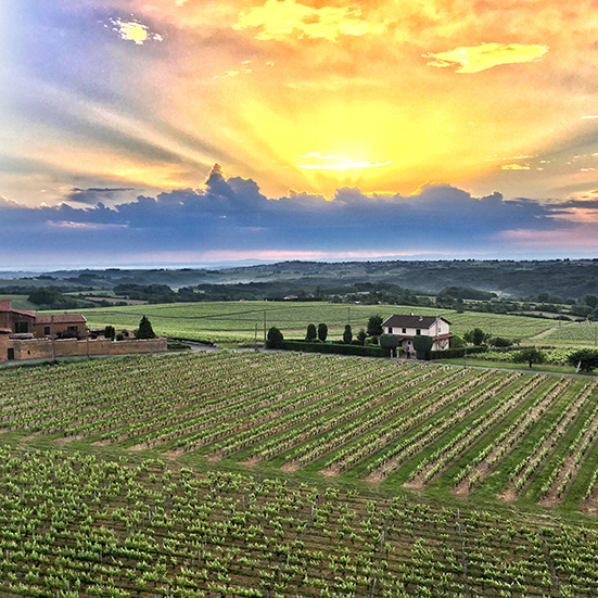 Paysage de Bourgogne vu d'une montgolfière