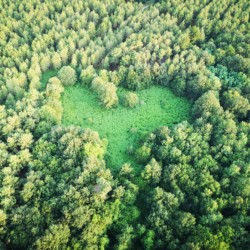 coeur sur la forêt de richelieu