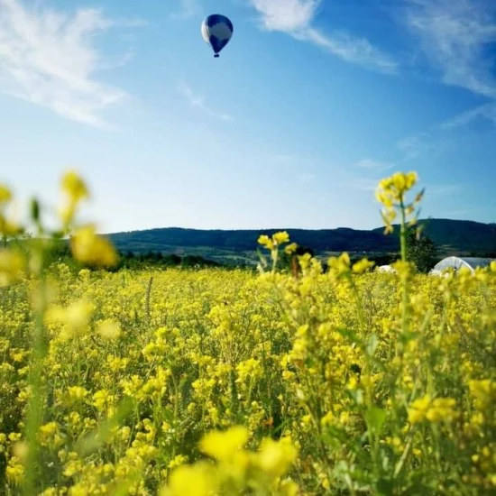 voler en montgolfière en Ardèche le printemps