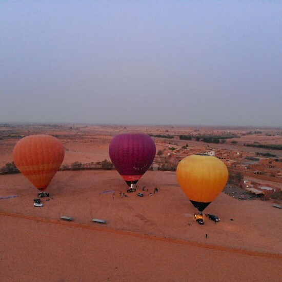Trois montgolfières au décollage près de la palmeraie de Marrakech.