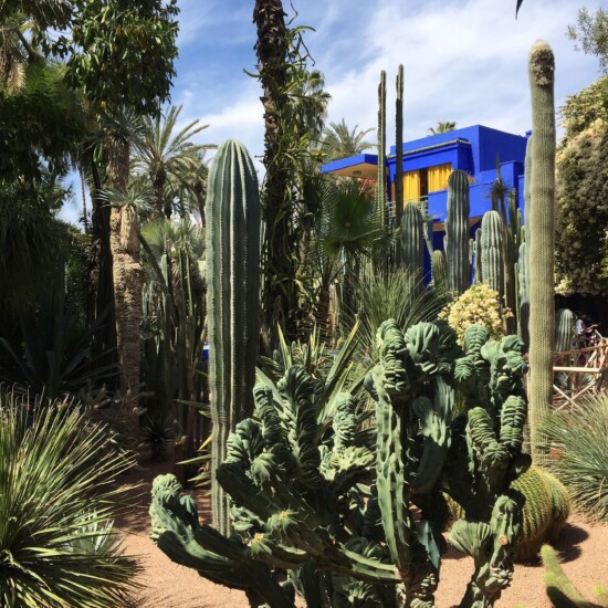 Jardin botanique à Marrakech.