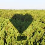 montgolfière dont l'ombre forme un coeur montgolfière dont l'ombre forme un coeur