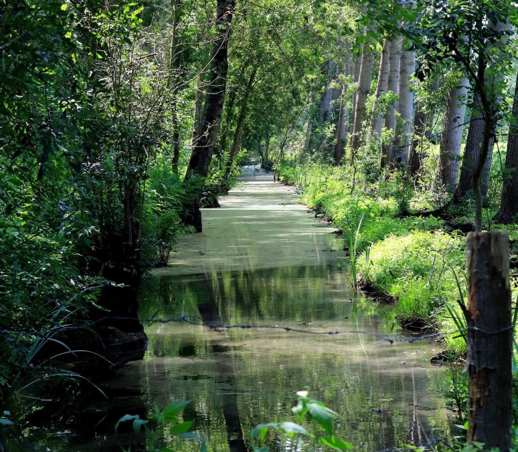 Canal marais poitevin.