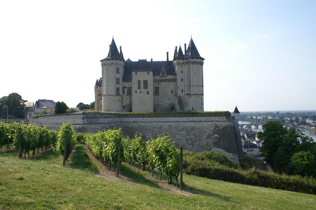 L'un des nombreux chateaux à proximimité de Saumur.
