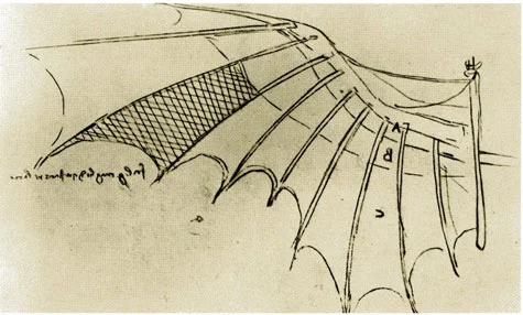 L'aile de leornard de vinci