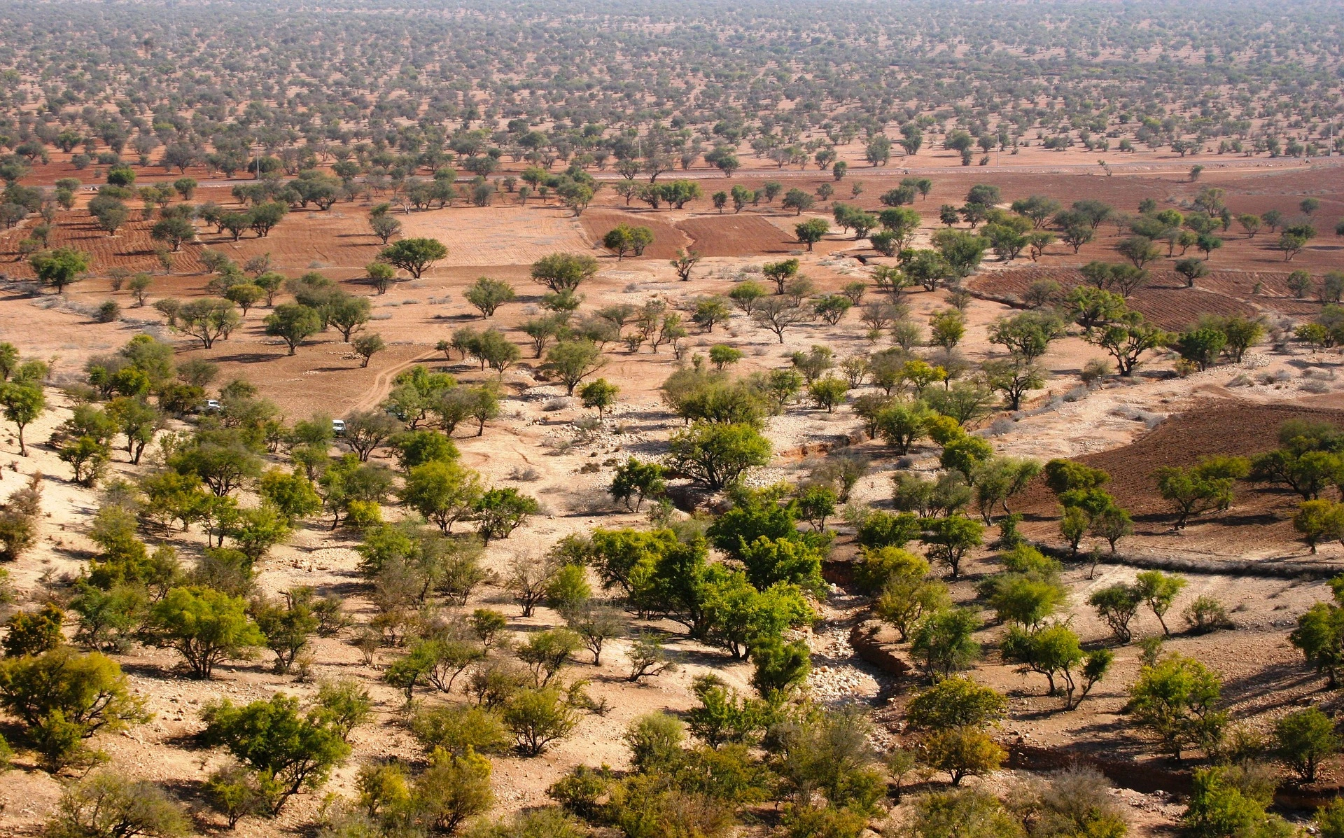 Maroc paysage desert