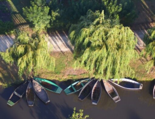 Barque sur le Marais Poitevin