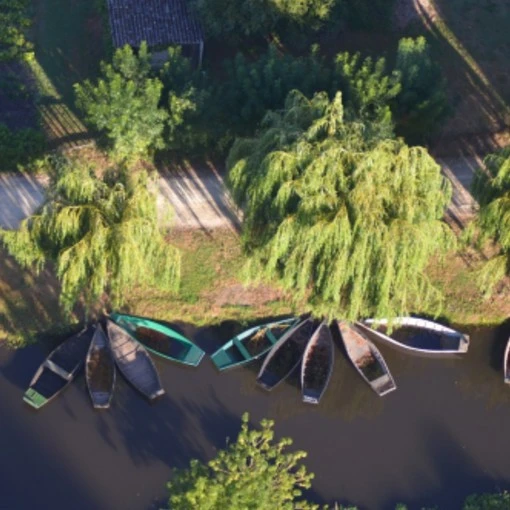 Barque sur le Marais Poitevin
