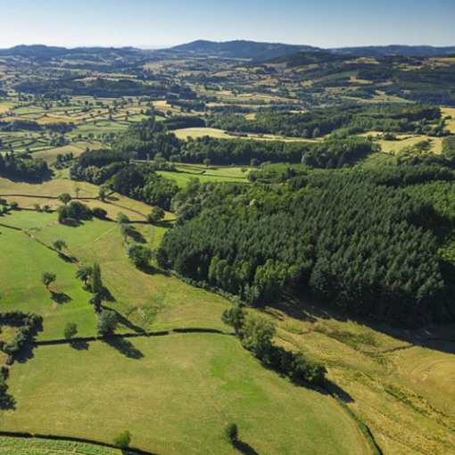 Vol en ballon mâcon saône et loire bourgogne bourg en bresse.