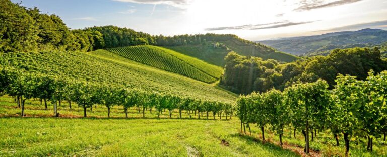 Paysage de la Bourgogne