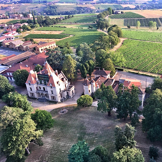 Survol en montgolfière au dessus des vignobles du Beaujolais.