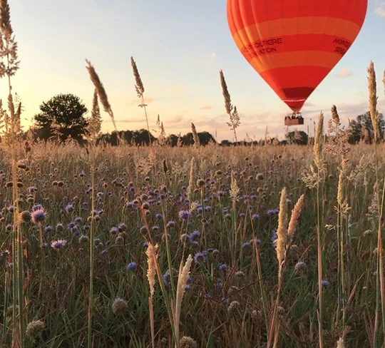 Une montgolfière s'élève au dessus d'une prairie lors d'un baptème.