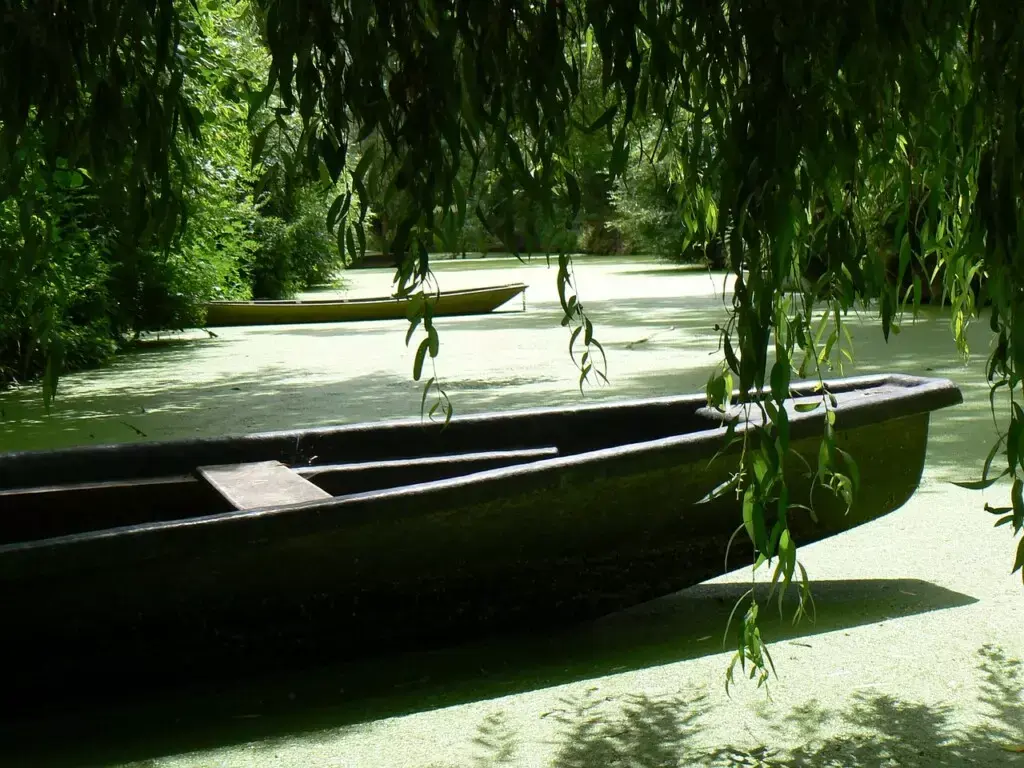 Découvrir le marais poitevin en barque.