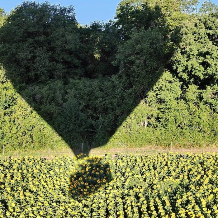 ombre coeur montgolfière