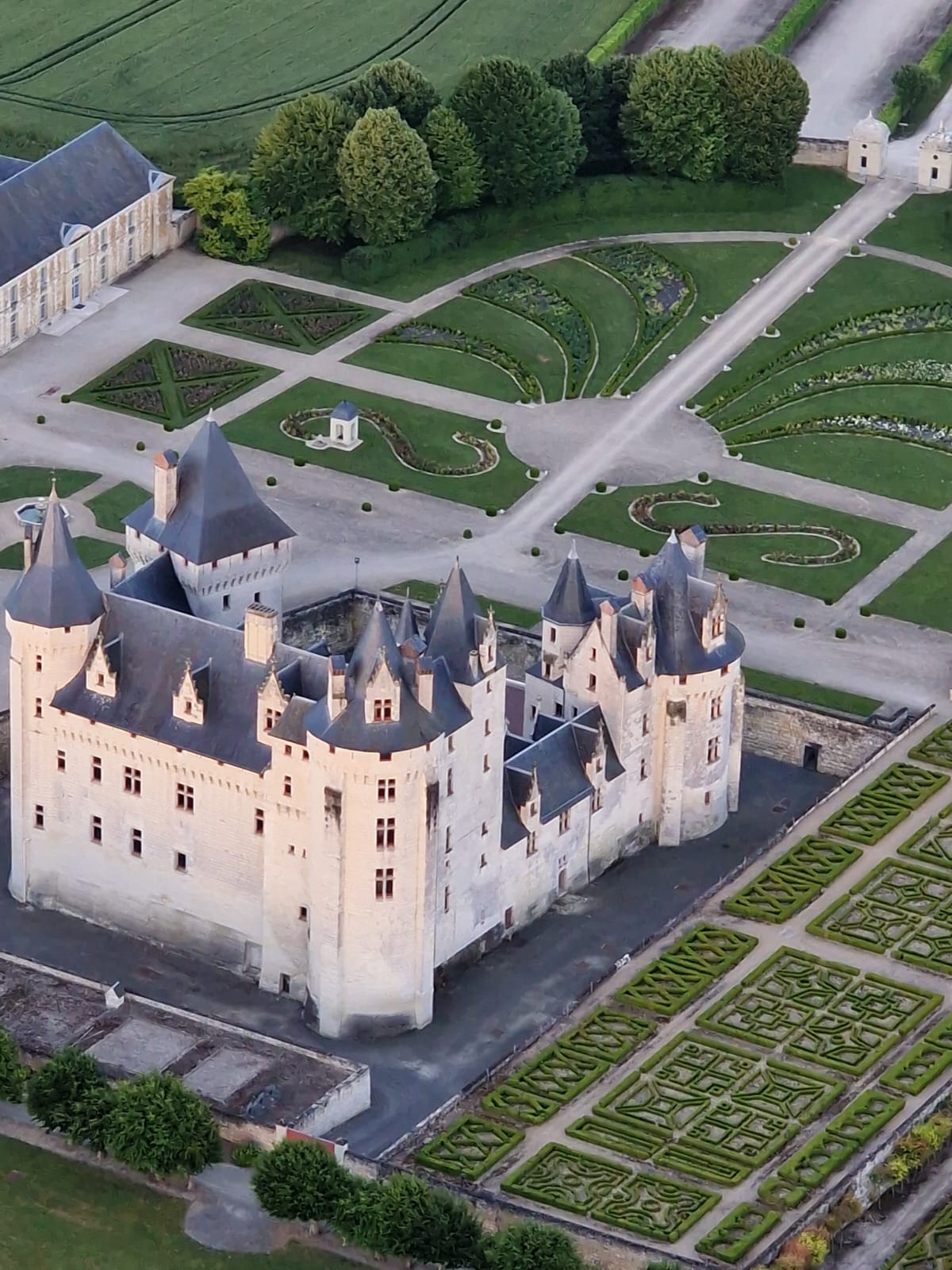 chinon