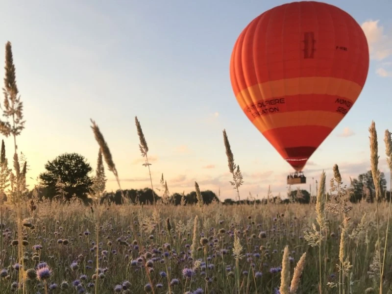 Montgolfiere champ proche cholet.