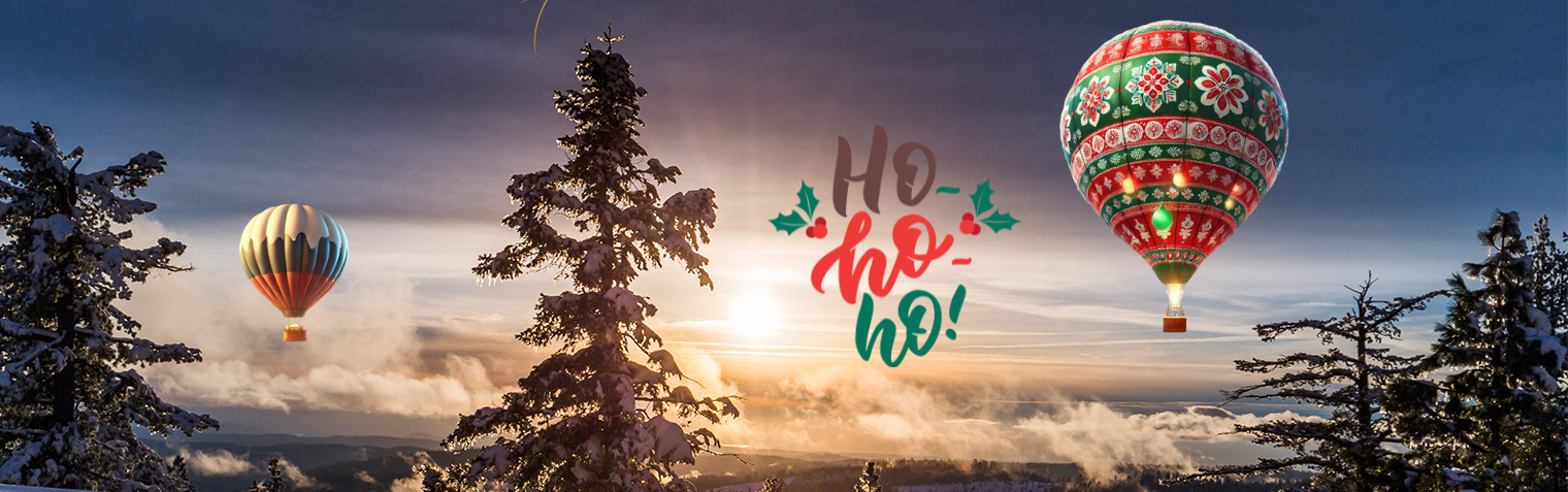 Visuel Noel forêt site internet
