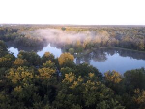 foret de scevolles haut poitou