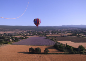 provence champ de lavande