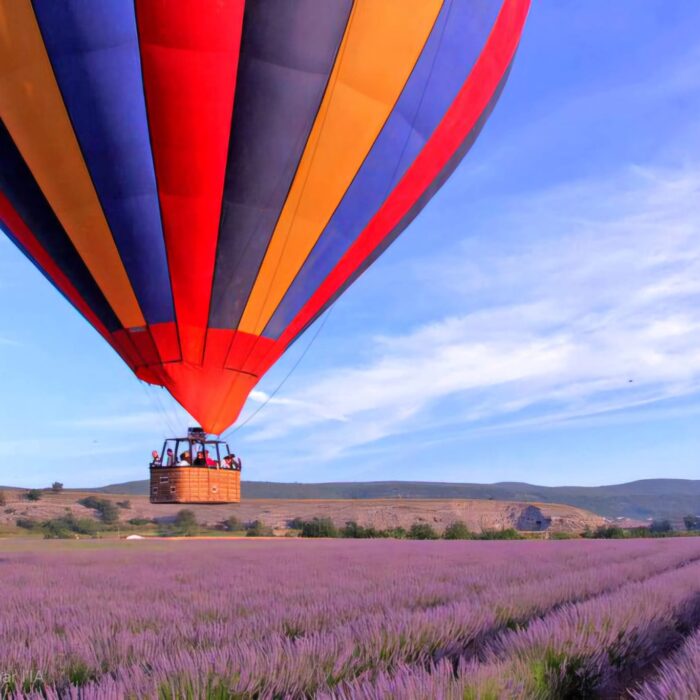 champ de lavande, forcalquier