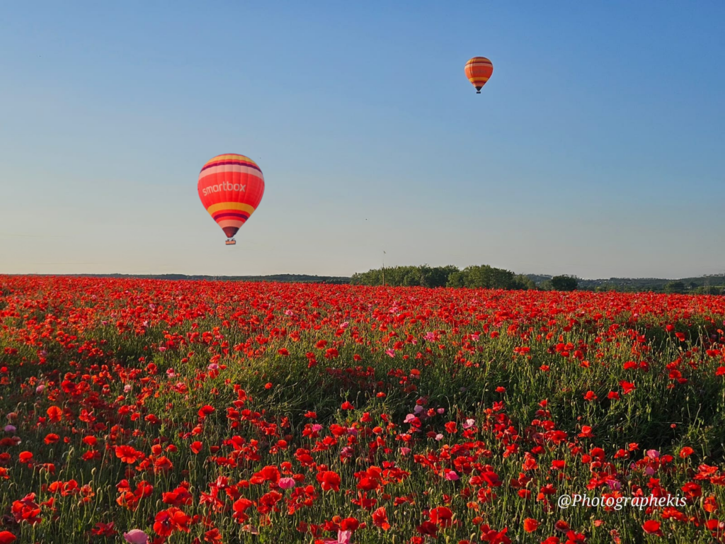 Champ de fleurs rouges avec ballon Smartbox