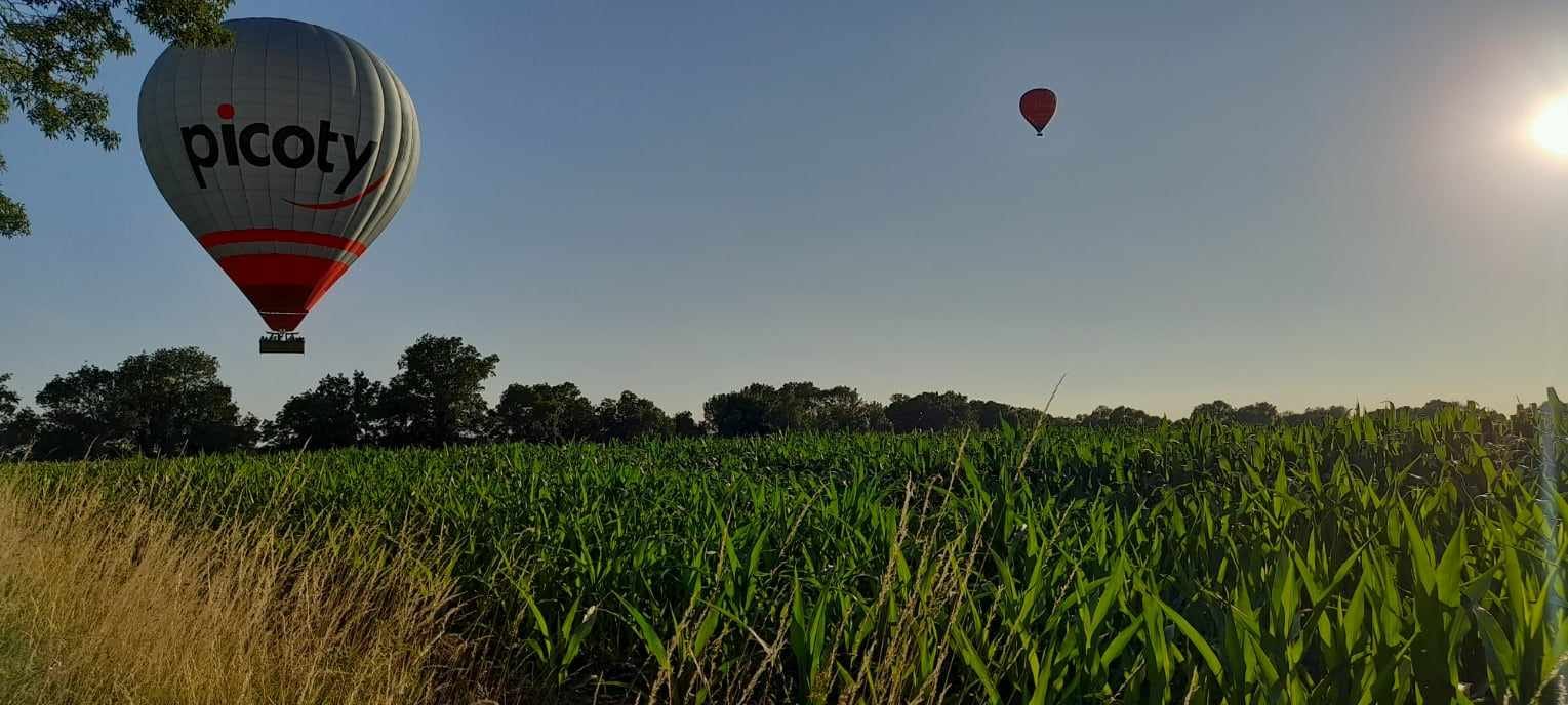 Deux montgolfière en vol au dessus d'un champs de maïs au printemps