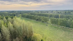 Marais poitevin niort vu du ciel