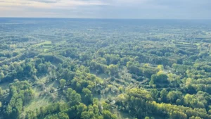 Niort en montgolfière